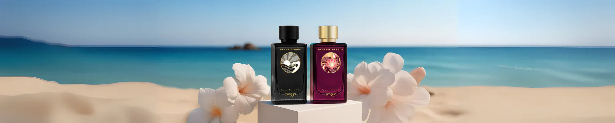 New Launches