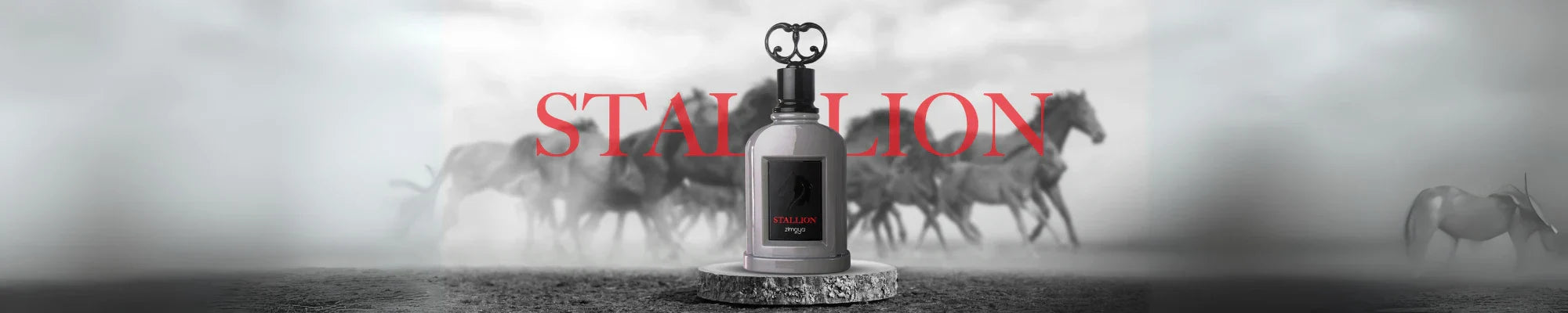 Stallion & Al Fouz Series