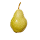 Pear Blossom
